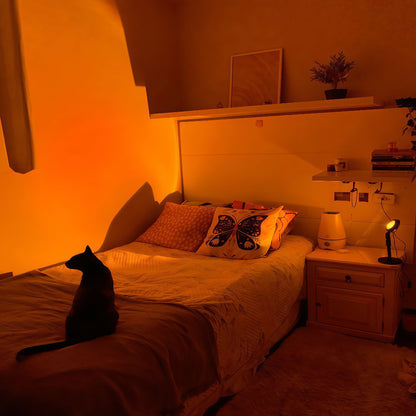 RGB 16 Color Sunset Lamp - Astro Lamps