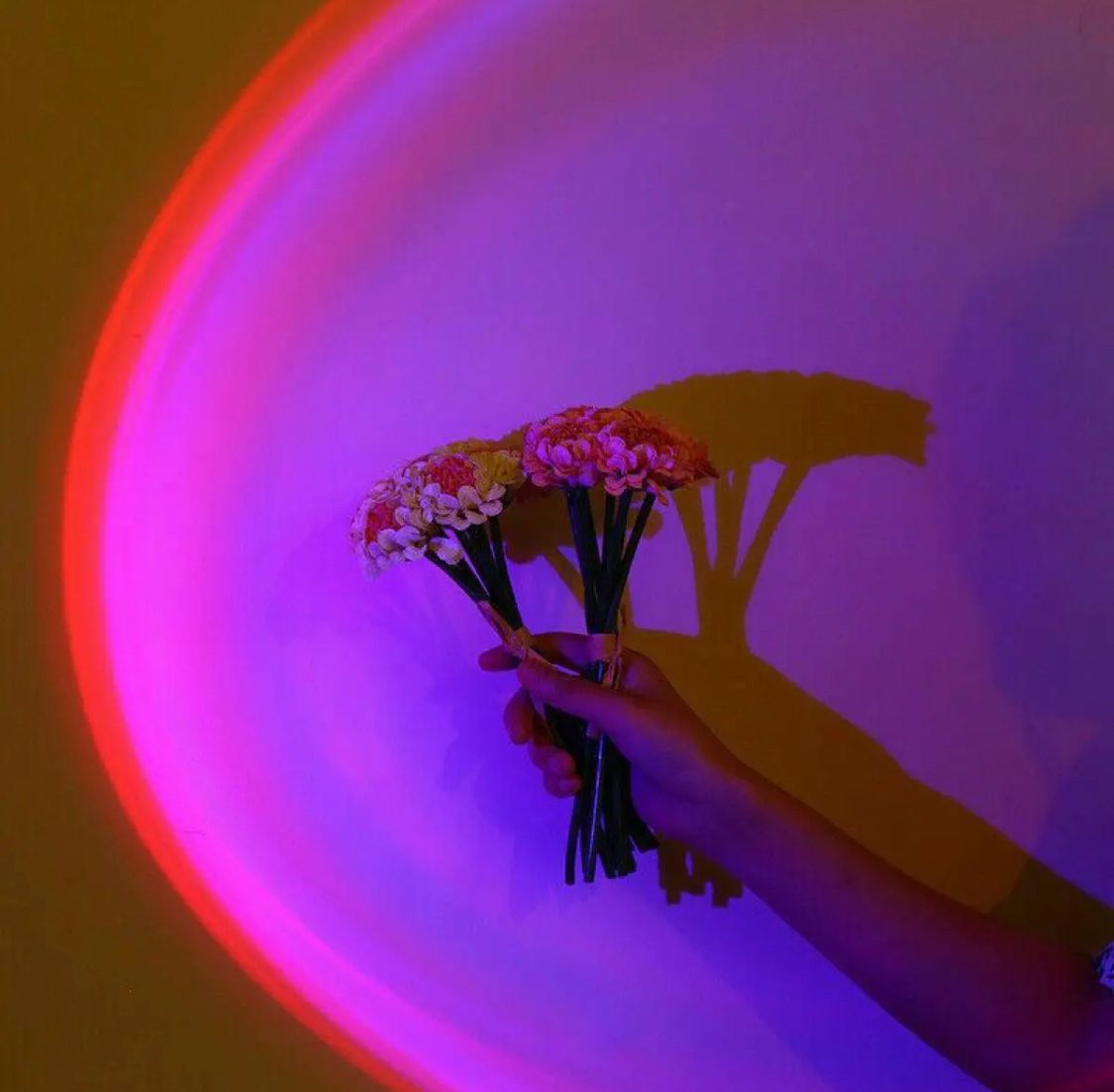 RGB 16 Color Sunset Lamp - Astro Lamps